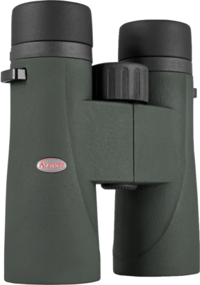 800q-01_138056 Kowa SV III 10x42 -kiikari