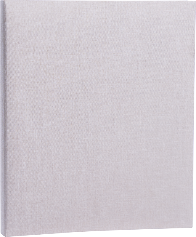 800q-02_131431 Focus Essence Ringbinder beige -rengasalbumi