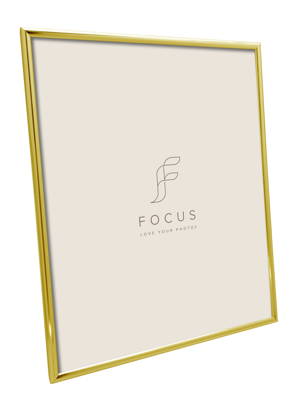 Focus Lily kulta 50x70 -taulukehys