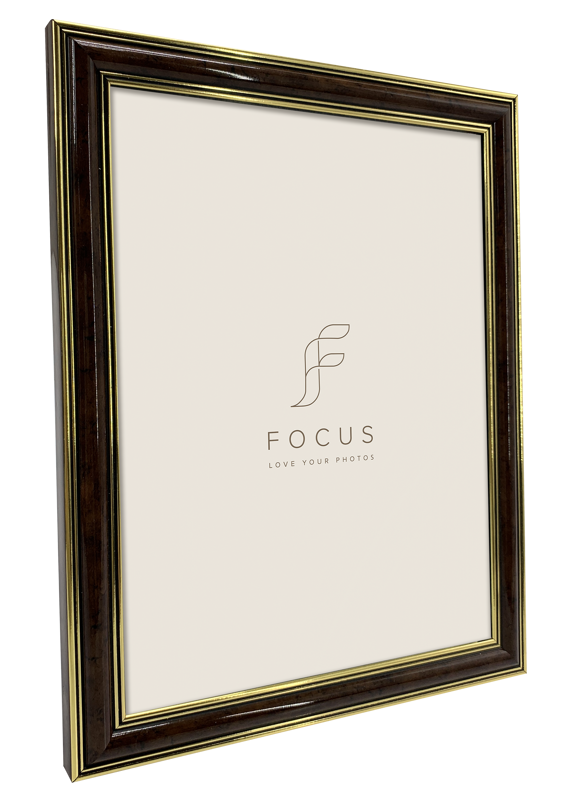 800q-02_132618 Focus Holly Light Root 10x13 -valokuvakehys