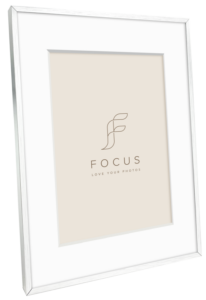 800q-02_133021 Focus Aster hopea 30x40/PP 20x30 -taulukehys
