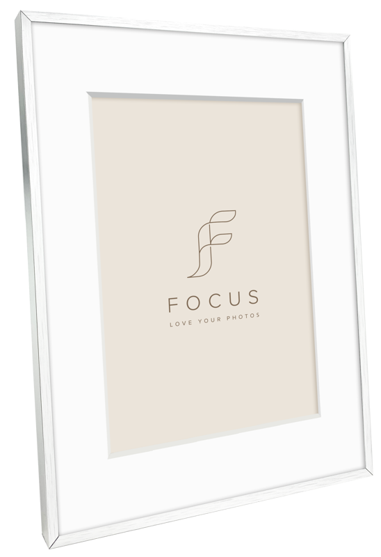 800q-02_133021 Focus Aster hopea 30x40/PP 20x30 -taulukehys
