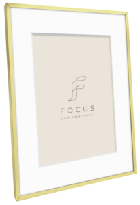 800q-02_133027 Focus Aster kulta 30x40/PP 20x30 -taulukehys