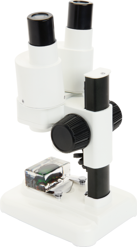 800q-03_115283 Celestron Labs S20 -stereomikroskooppi