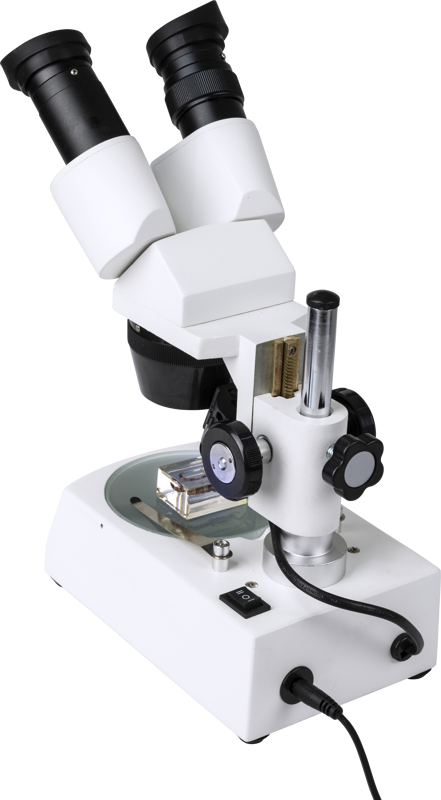 800q-03_115284 Celestron Labs S10-60 -stereomikroskooppi