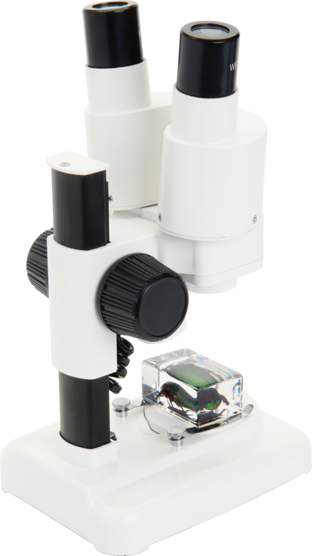 800q-04_115283 Celestron Labs S20 -stereomikroskooppi