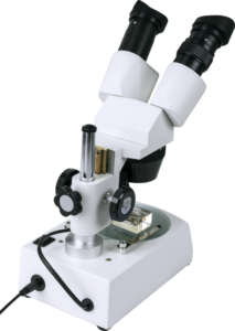 800q-04_115284 Celestron Labs S10-60 -stereomikroskooppi