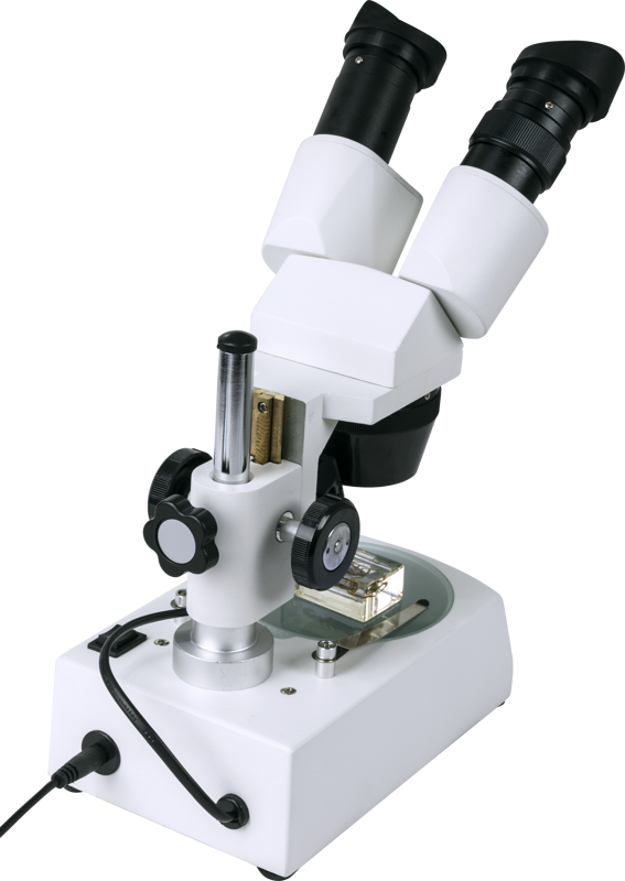 800q-04_115284 Celestron Labs S10-60 -stereomikroskooppi