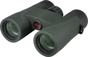 800q-04_138053 Kowa SV III 8x32 -kiikari