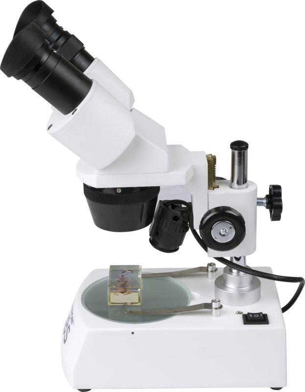 800q-05_115284 Celestron Labs S10-60 -stereomikroskooppi