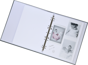 800q-06_131435 Focus Essence Ringbinder harmaa -rengasalbumi