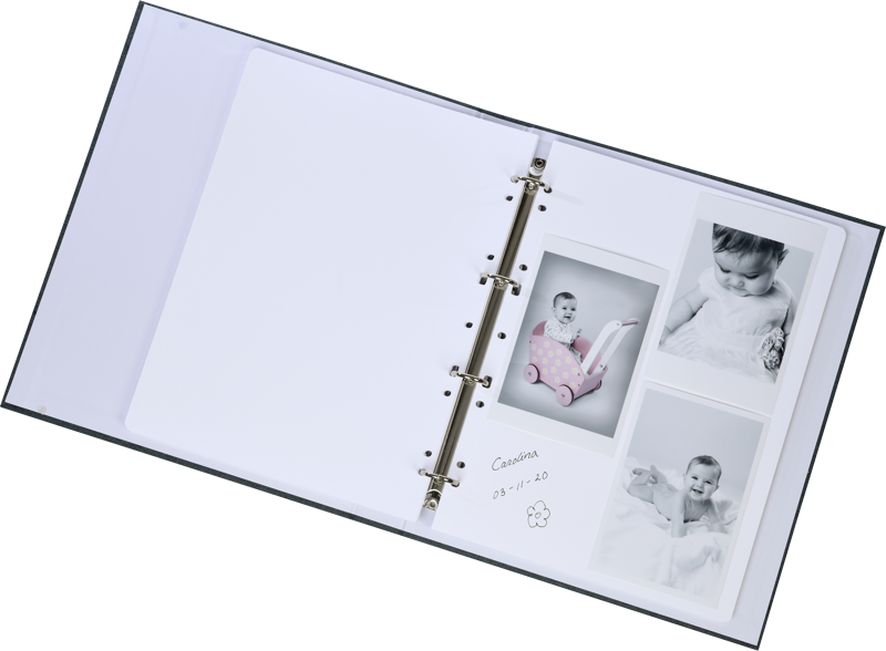 800q-06_131435 Focus Essence Ringbinder harmaa -rengasalbumi